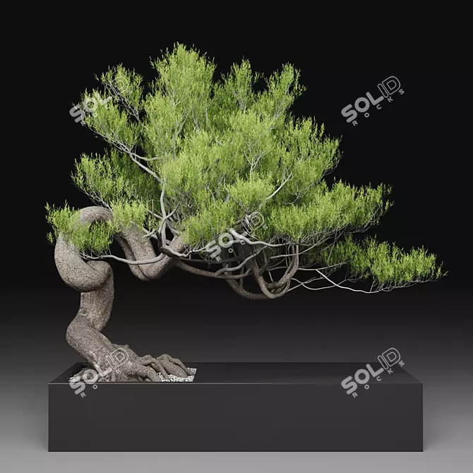 Pine Tree Decor: 1070mm Height 3D model image 1