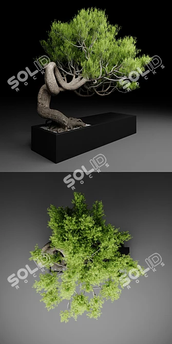 Pine Tree Decor: 1070mm Height 3D model image 2