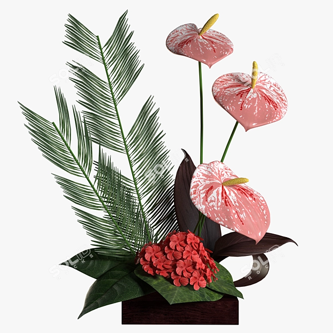 Anthurium - Realistic 3D Plant 3D model image 1