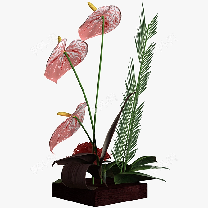 Anthurium - Realistic 3D Plant 3D model image 2