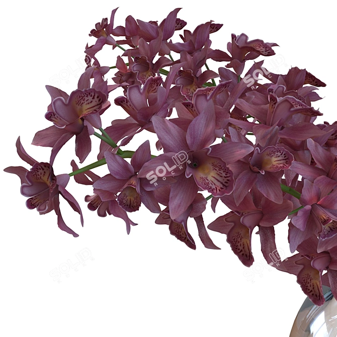 Exquisite Orchidaceae Home Décor 3D model image 2