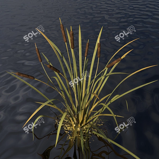River Reeds: Aquatic Model with Customizable Settings 3D model image 1