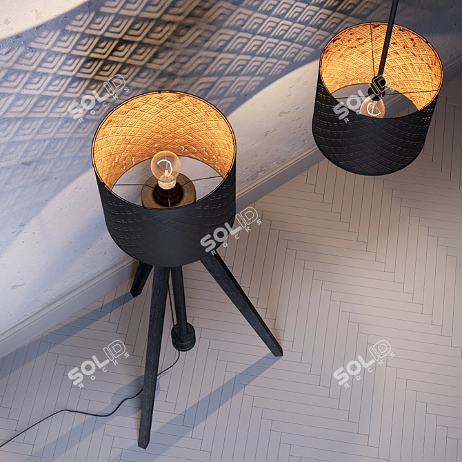  Modern Black Nemo Shade with Lauters Base 3D model image 2