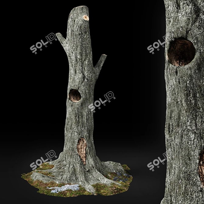 Haunted Chestnut: Lifelike Dead Tree 3D model image 1