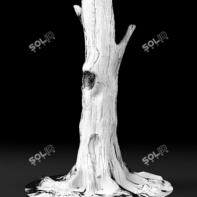 Haunted Chestnut: Lifelike Dead Tree 3D model image 3