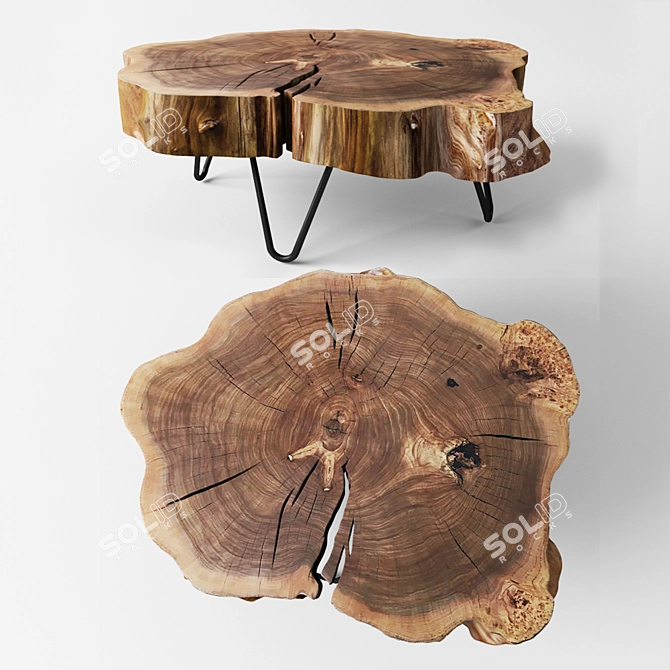 Karagach Elm Coffee Table 3D model image 1