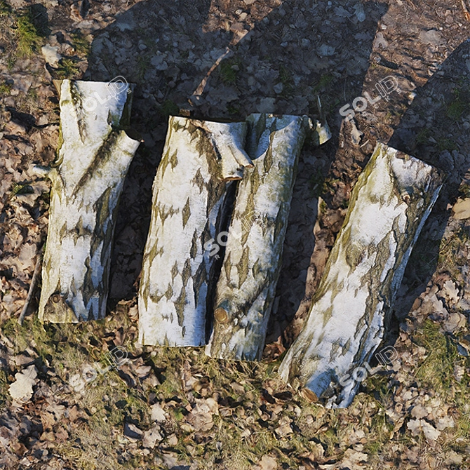 Forest Birch Stumps: 3D Model 3D model image 1