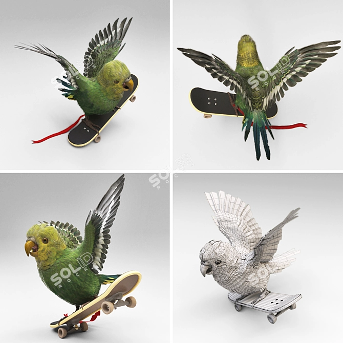 Geometric Skateboarding Parrot 3D model image 3