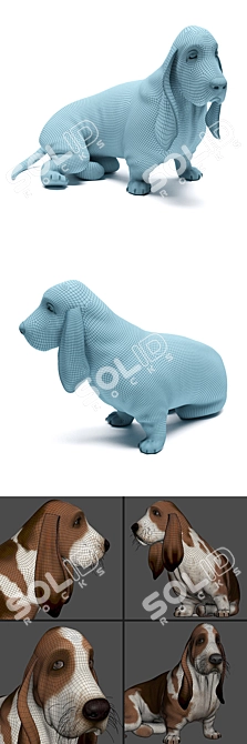 Realistic Basset Hound 3D Model 3D model image 3