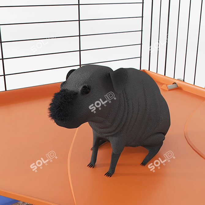 Adorable Skinny Guinea Pig- Sirius| IMAC Easy 100 Cage 3D model image 2