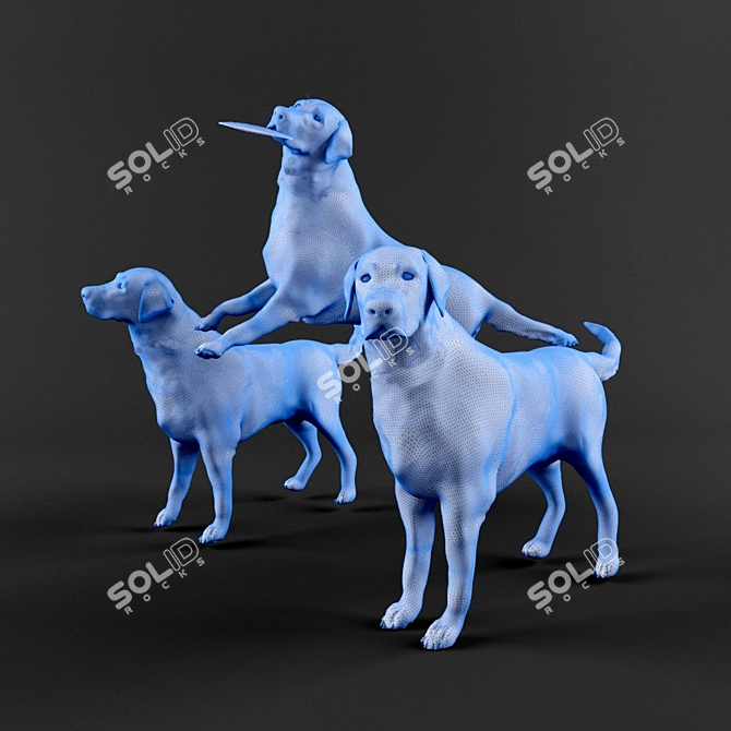 Labrador Shelby: 3D Max Delight! 3D model image 3