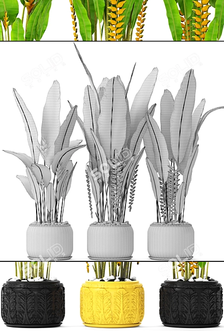 Tropical Bliss: Heliconia Collection 3D model image 3