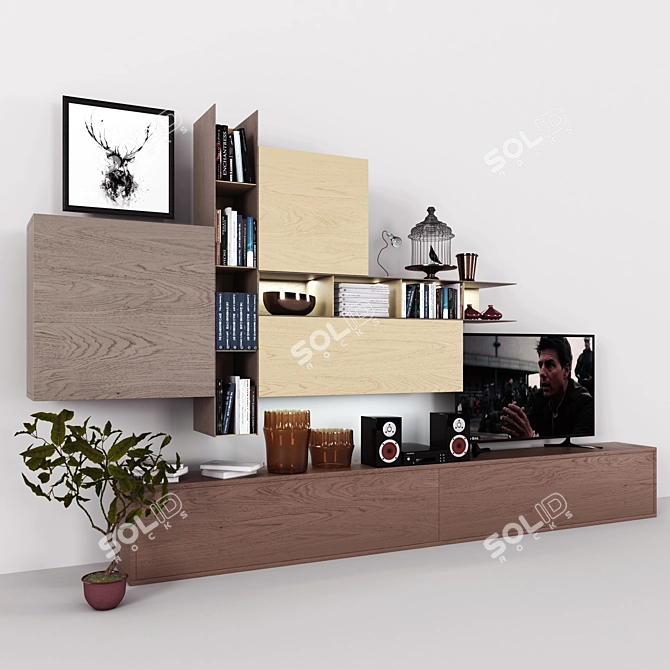 Versatile Storage with Books, TV, Vase & Plant 3D model image 1