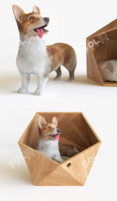 Cozy Corgi Pet Bed 3D model image 2