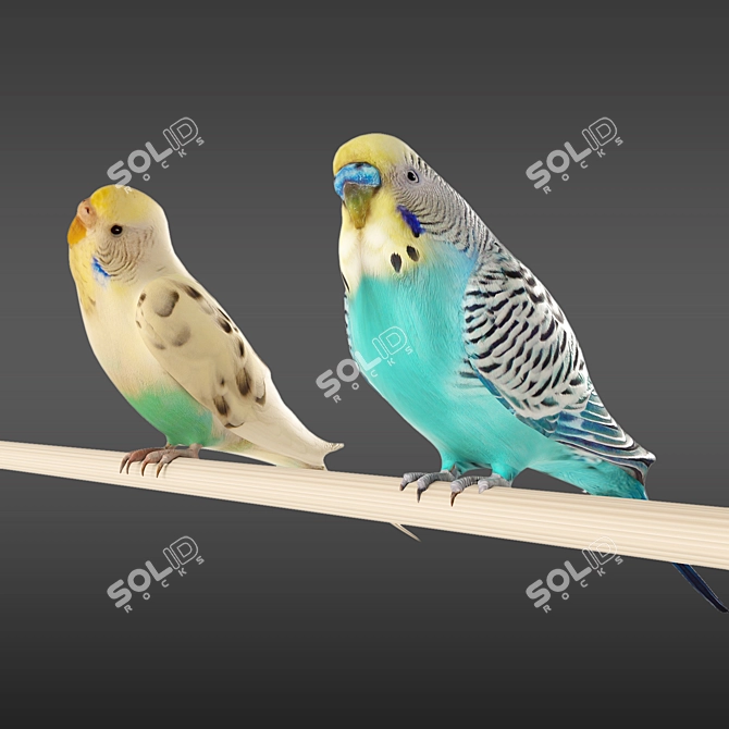 Ferplast Hemmy Budgie Cage: Iva and Lavrusha - Bundle including 3D models 3D model image 2