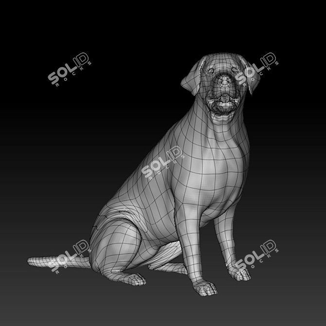 VRayFur Labrador Retriever Model 3D model image 3