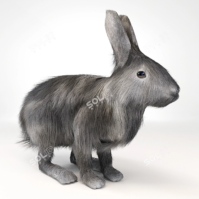 Fluffy Fur Rabbit 3D model image 1