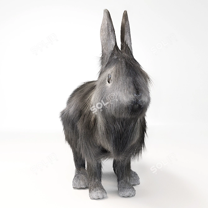 Fluffy Fur Rabbit 3D model image 2