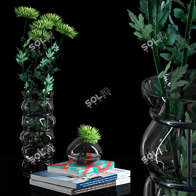 Realistic Green Spider Mom Asters Set 3D model image 1