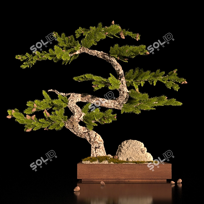 Title: Bonsai Decor: Small Spaces, Big Style 3D model image 1