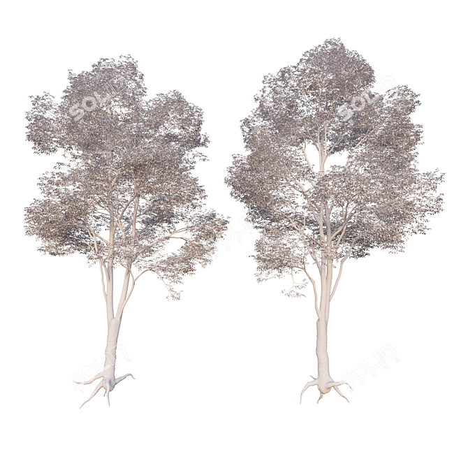 Architectural Tree Model - Perfect for Visualization 3D model image 2