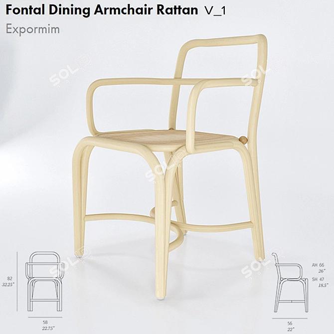 Stylish Fontal Rattan Armchair 3D model image 1