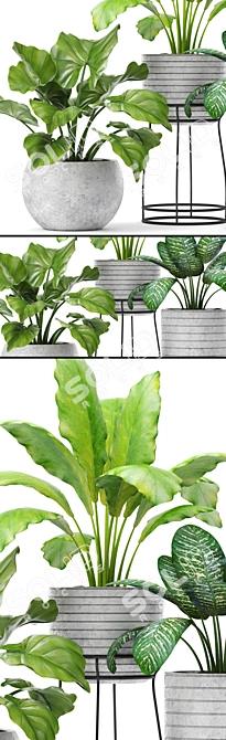 Botanical Bliss: 14 Potted Plants 3D model image 2