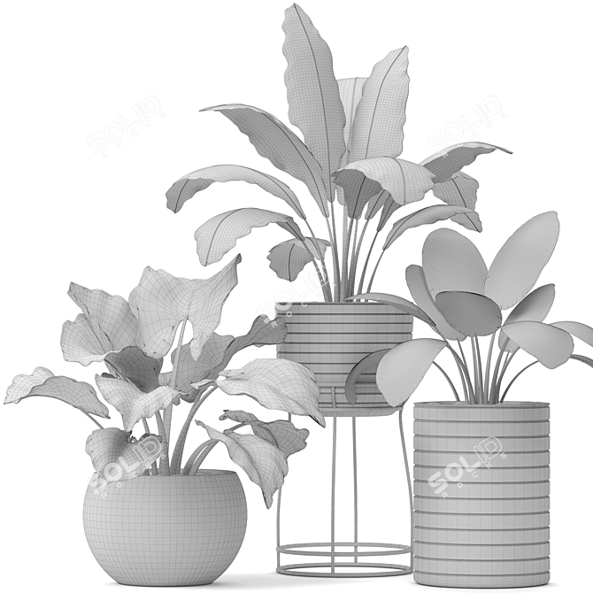 Botanical Bliss: 14 Potted Plants 3D model image 3