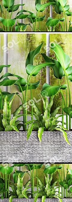 Potted Plant Collection: 16 Varieties 3D model image 2