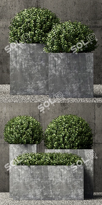 Luxury Zinc Square Planters 3D model image 2