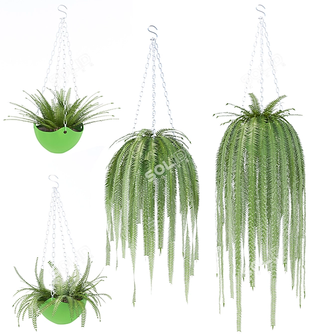  Quetzal Tail - High Poly 3D Model 3D model image 1