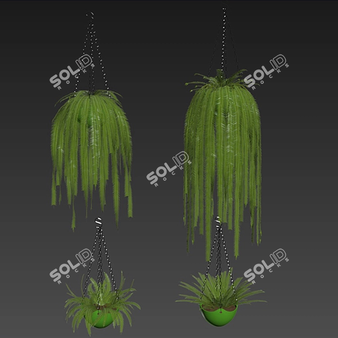 Quetzal Tail - High Poly 3D Model 3D model image 3