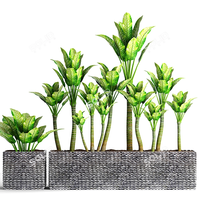 Potted Plant Collection - 16 Varieties 3D model image 1