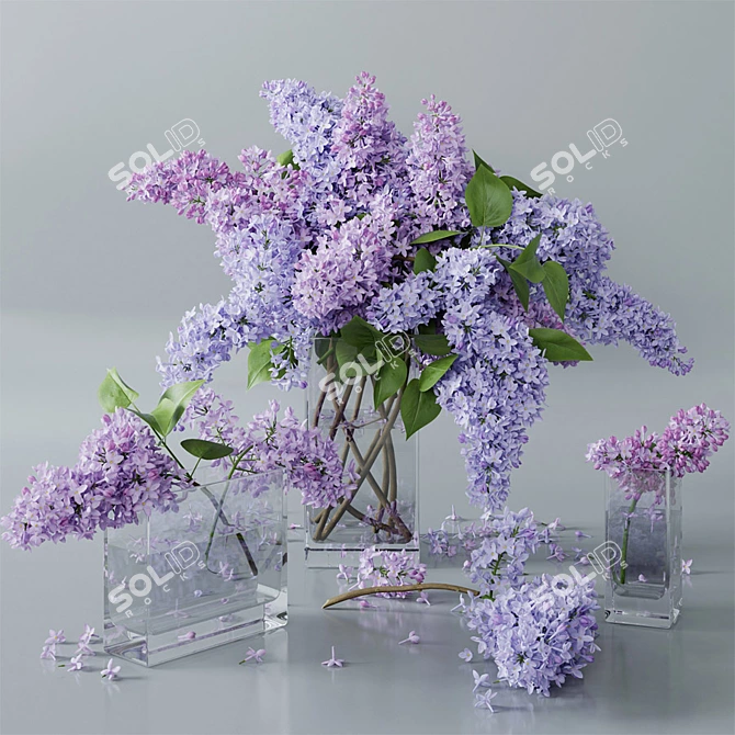 White Lilac 4: Archive Max 2011 3D model image 1