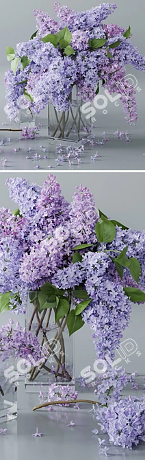 White Lilac 4: Archive Max 2011 3D model image 2