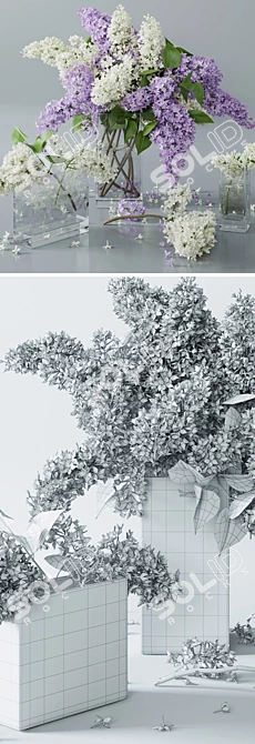 White Lilac 4: Archive Max 2011 3D model image 3