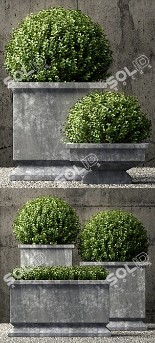 Classy Zinc Footed Planters 3D model image 2