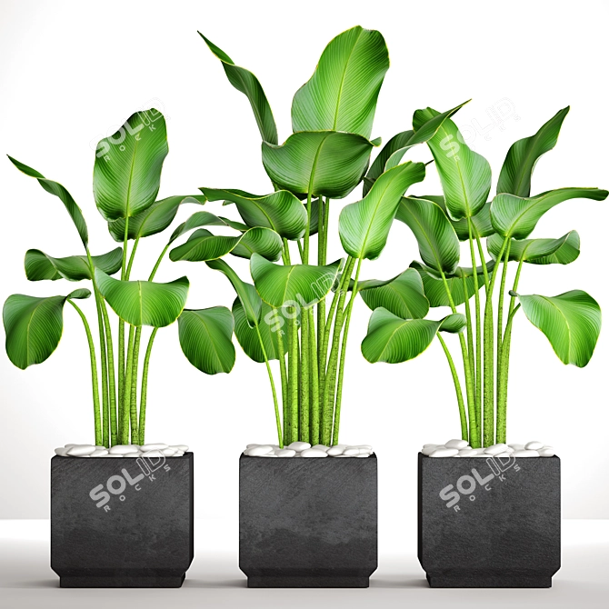 Botanical Pot Collection 3D model image 1