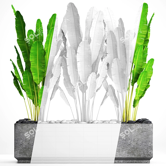 Indoor Oasis: Plant Collection 3D model image 3