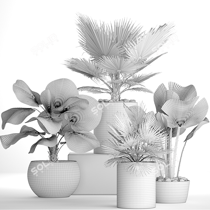 Tropical Paradise: Palm Collection 3D model image 3
