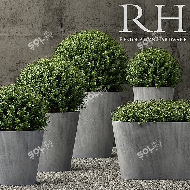 Estate Zinc Round Planters | Restoration Hardware 3D model image 1