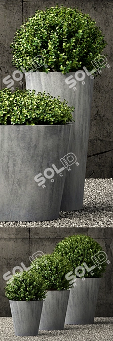 Estate Zinc Round Planters | Restoration Hardware 3D model image 2