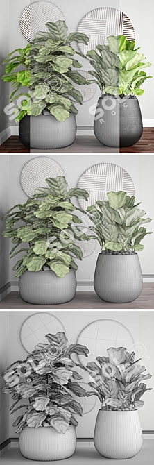 Ficus lyrata: Stunning Potted Plant 3D model image 3