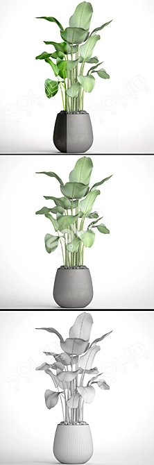 Leafy Bliss: Potted Plant Delight 3D model image 3