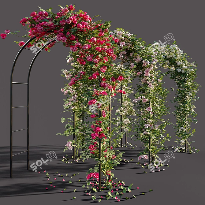 Rose-Arched Beauty 3D model image 1