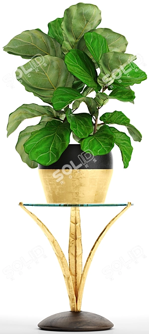 Ficus Lyrate Occasional Table 3D model image 2