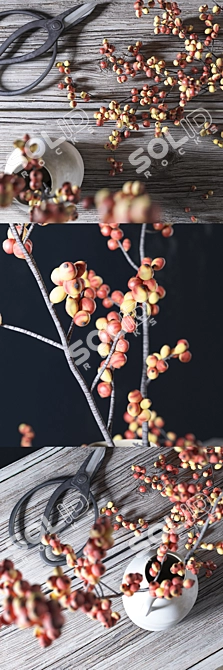 Rustic Berry Branches Set 3D model image 2