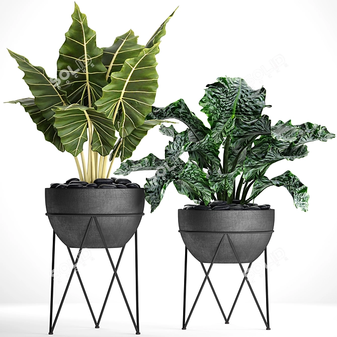 Botanical Pot Collection 3D model image 1