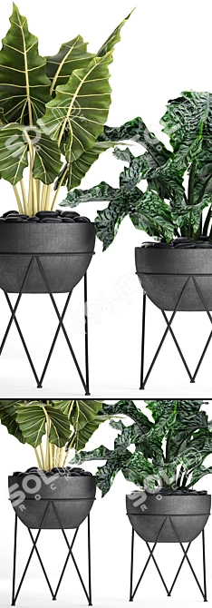 Botanical Pot Collection 3D model image 2