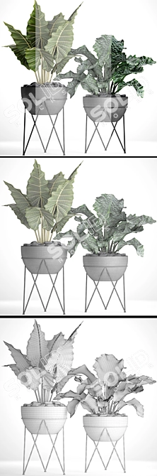 Botanical Pot Collection 3D model image 3